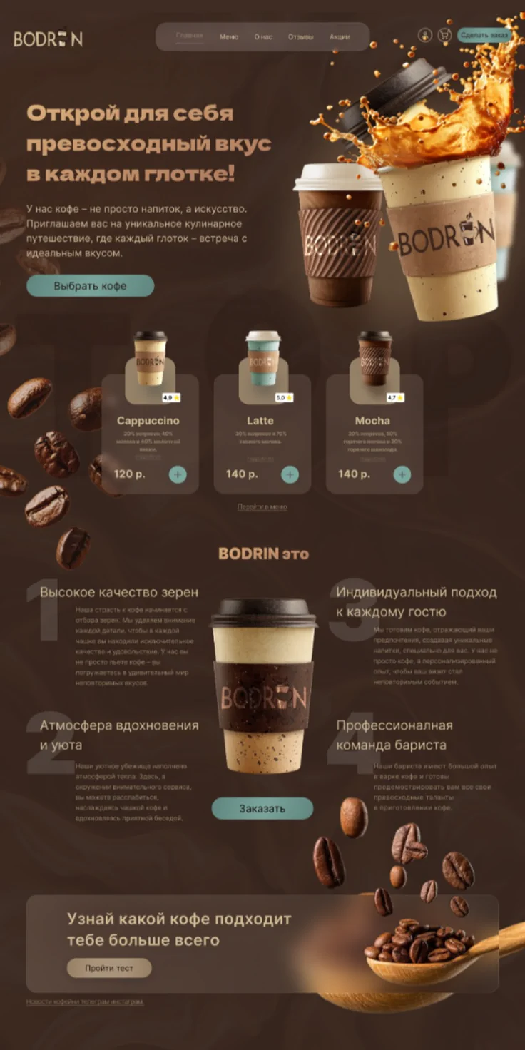 Website design project